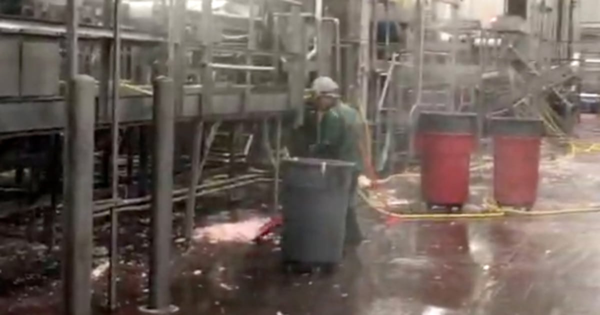 Tennessee firm illegally employed minors to clean meat saws, head splitters at slaughterhouses, Labor Dept. says